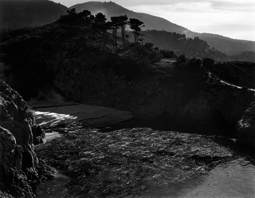 China Cove (PL-L-23G) | Edward Weston 1938