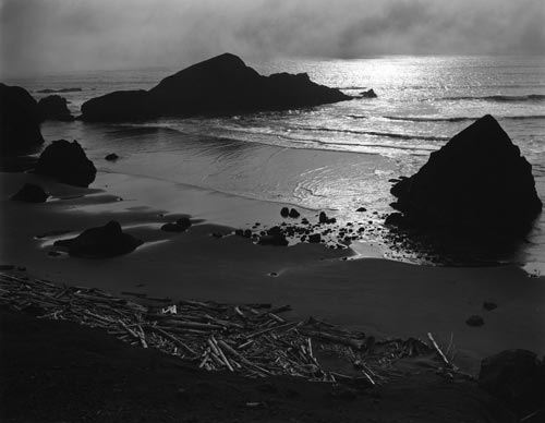 SOLD - Oregon Coast (O-MI-2G) | Edward Weston 1949