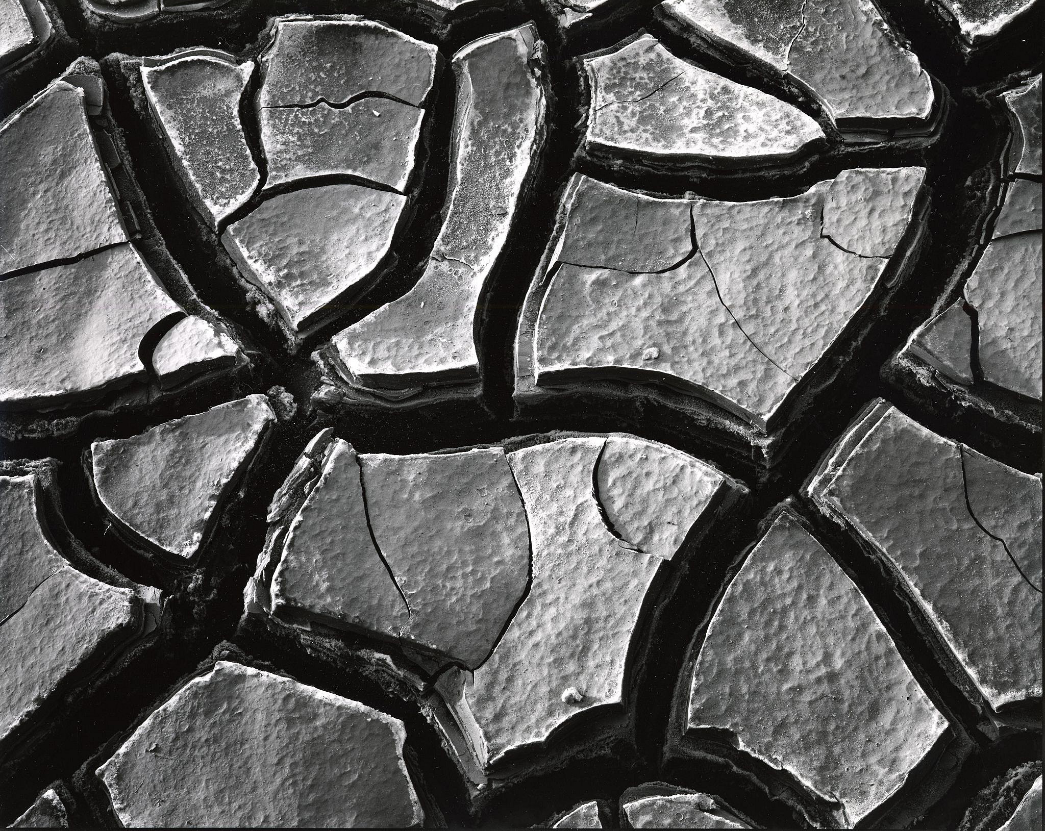 Brett-Weston-Mud-Cracks.jpg