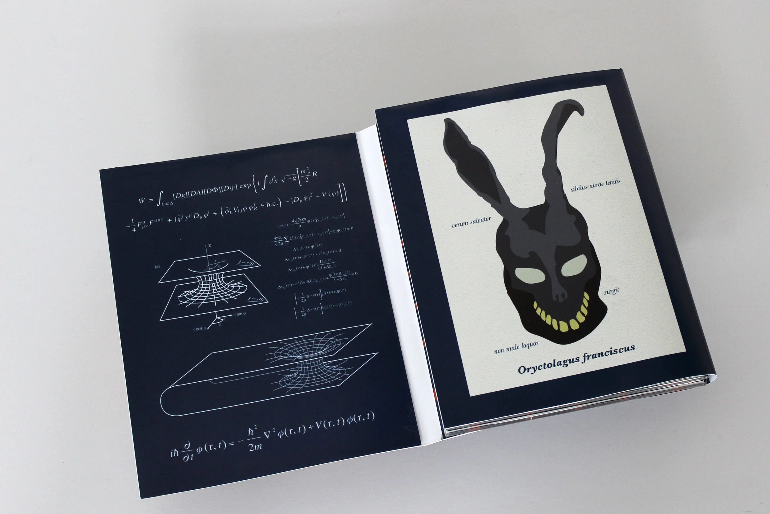 DONNIE-DARKO-DVD-CASE-2.jpg