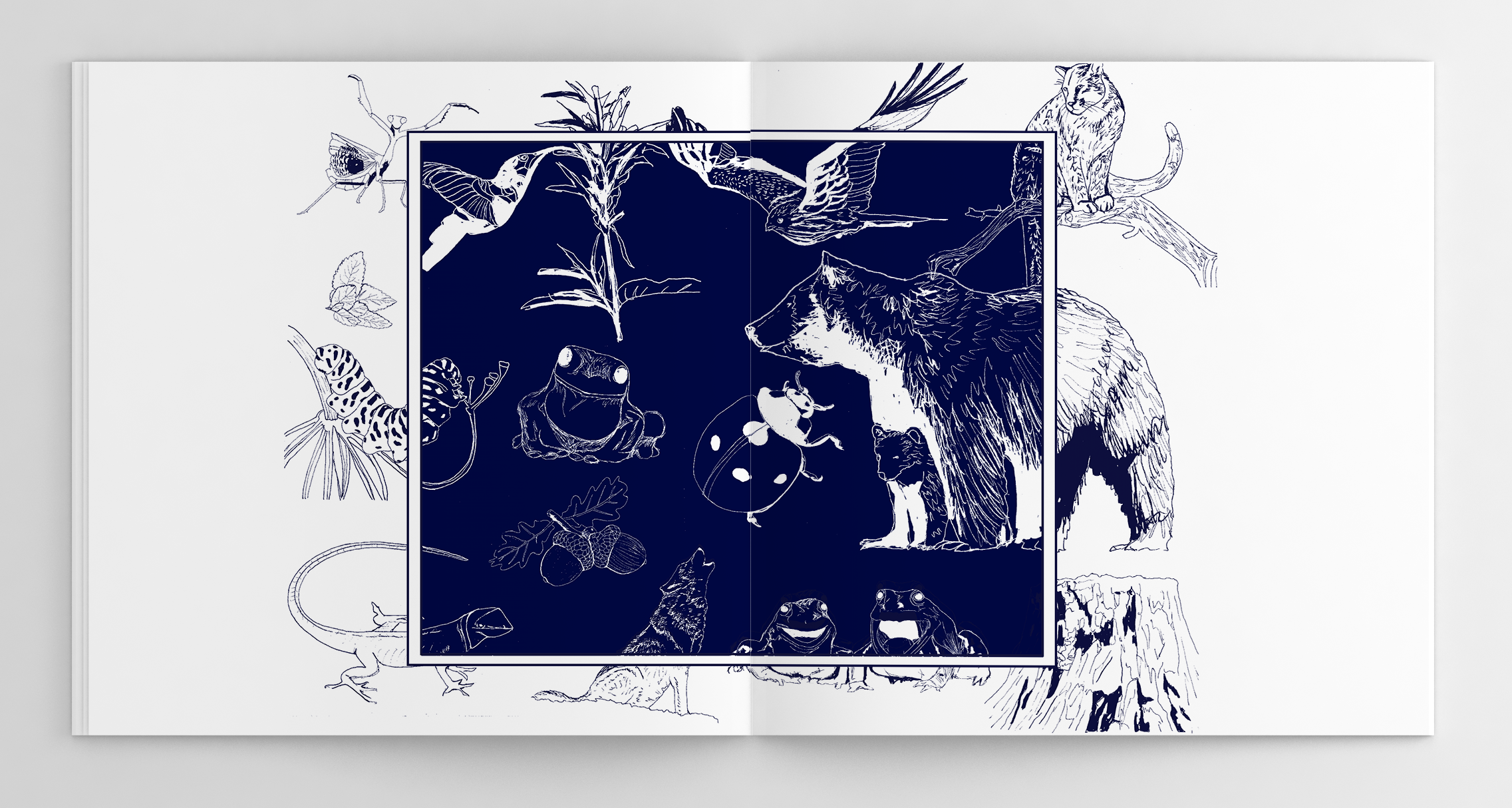 Inside of booklet covers