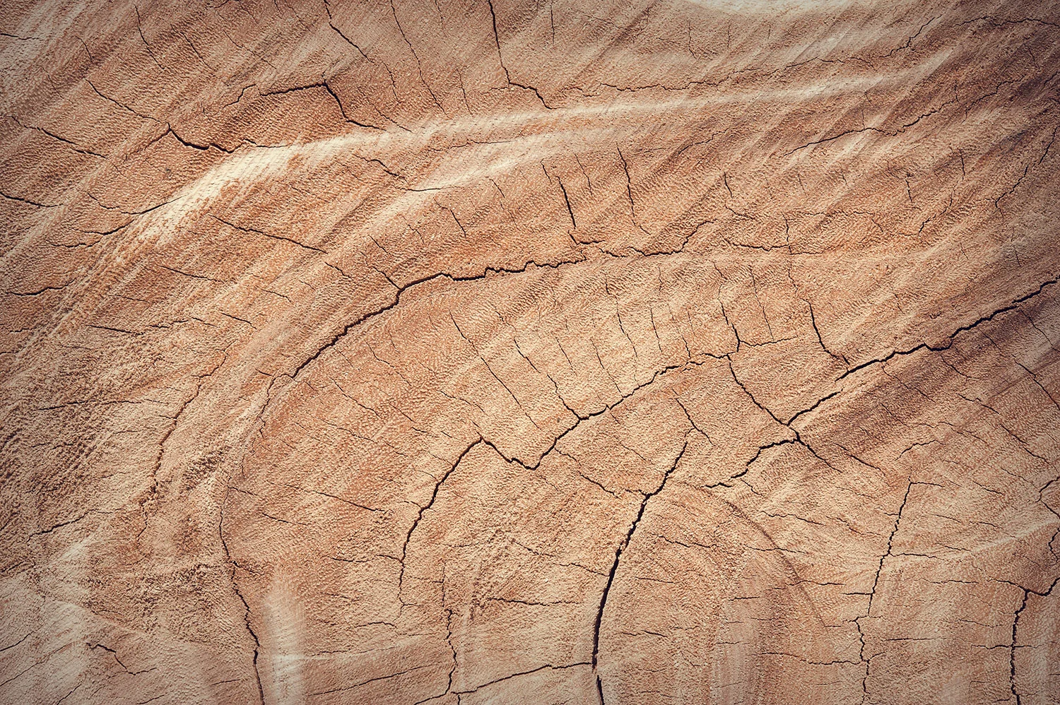 wood-closeup.jpg