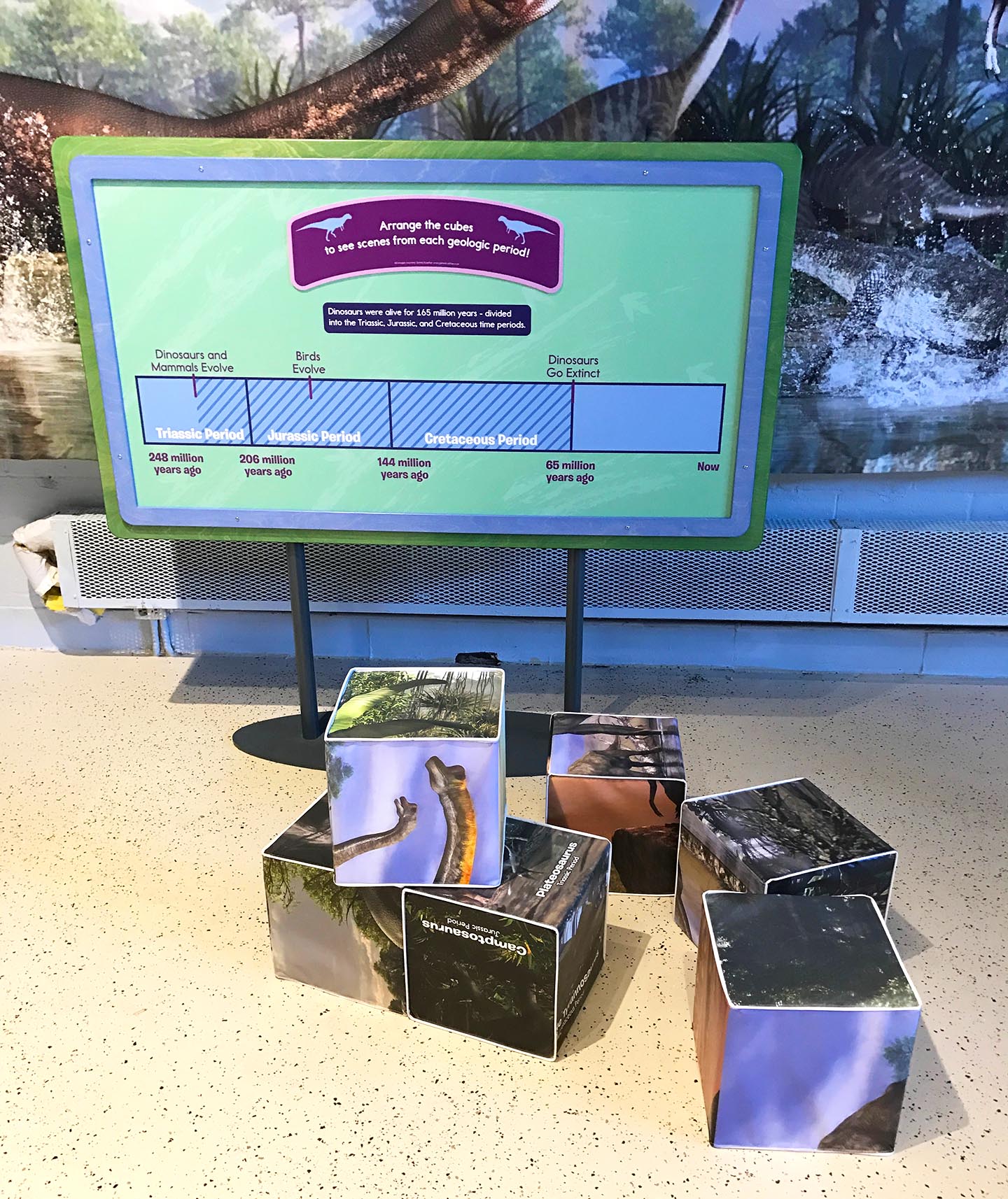 11 Dino Cubes_web.jpg
