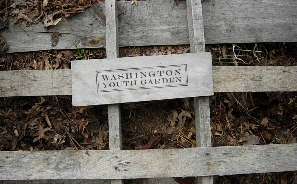 Composting.jpg