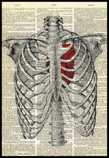 0009_1_original.jpg