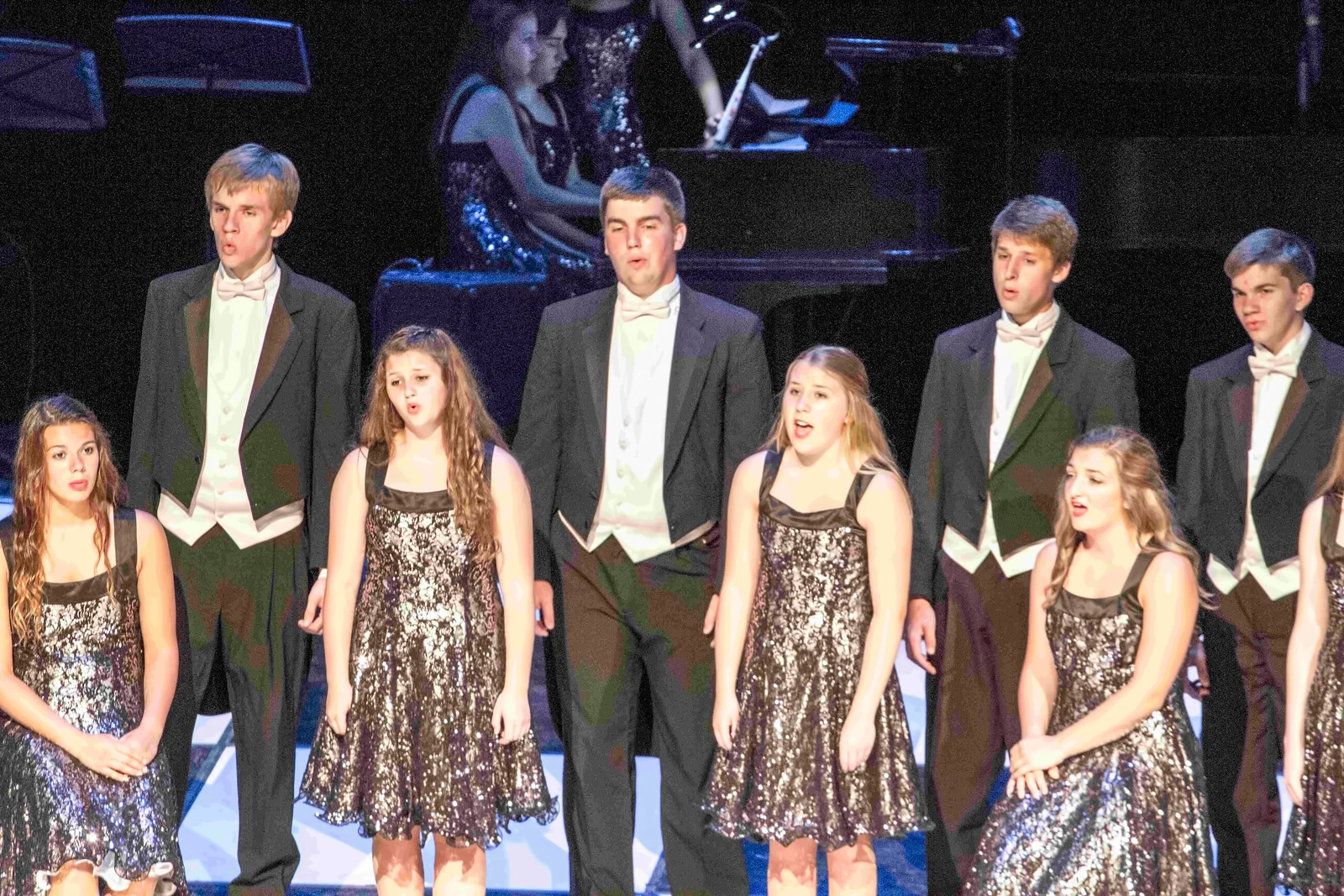 Crimsonaires Stand & Sing 2014-15.jpg