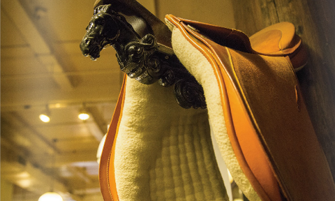 horse_and_style_large.png