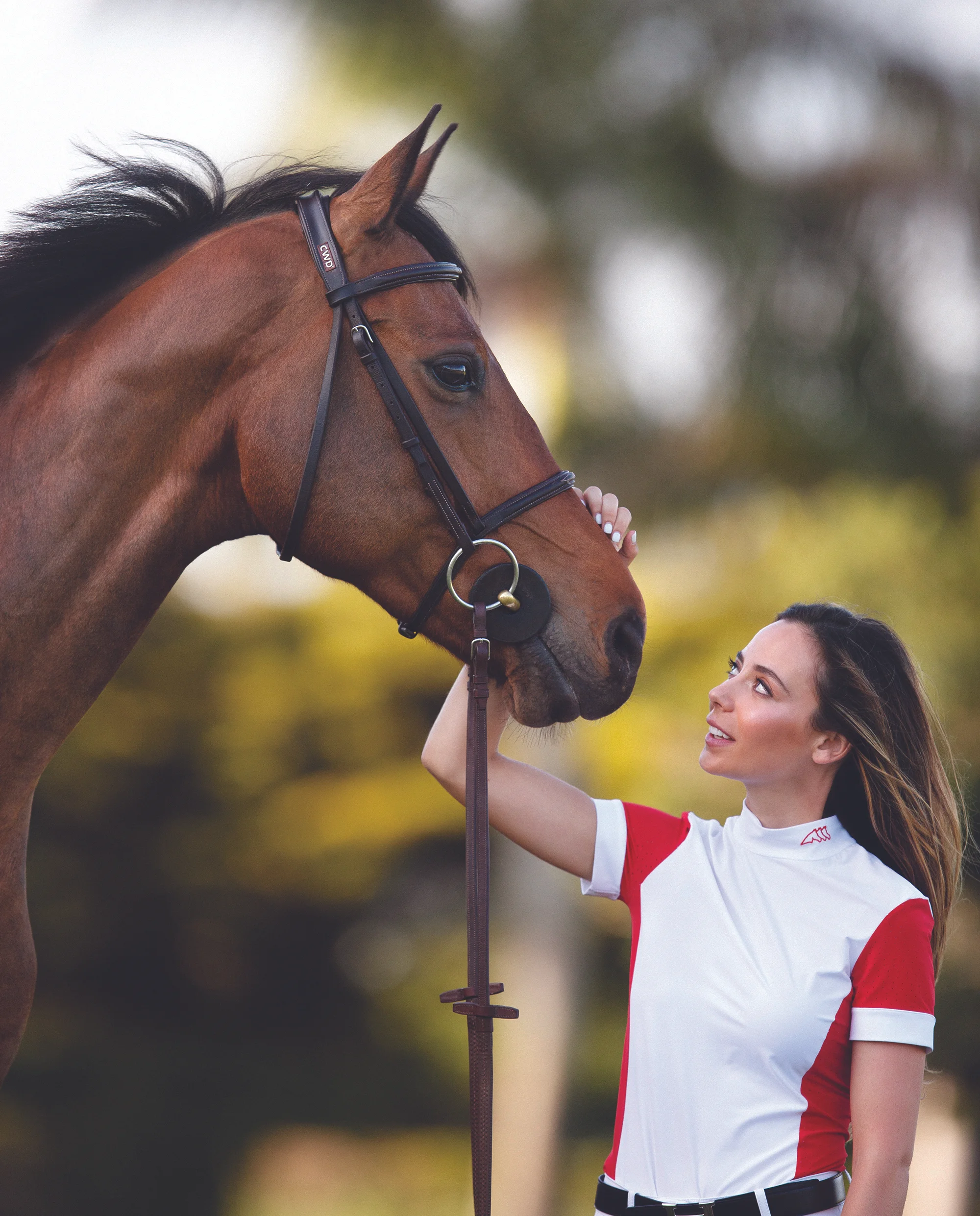 Kaval_Model+Horse.jpeg