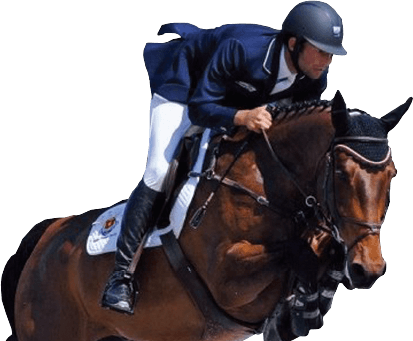 header-horse.png