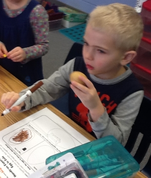 The soda pop egg turned brown!