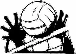 vb net.jpg