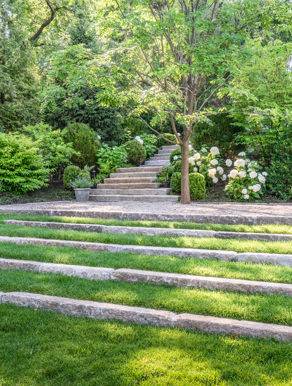 Landscape Architecture - LeBlanc Jones Landscape Architects “Ivy Court”