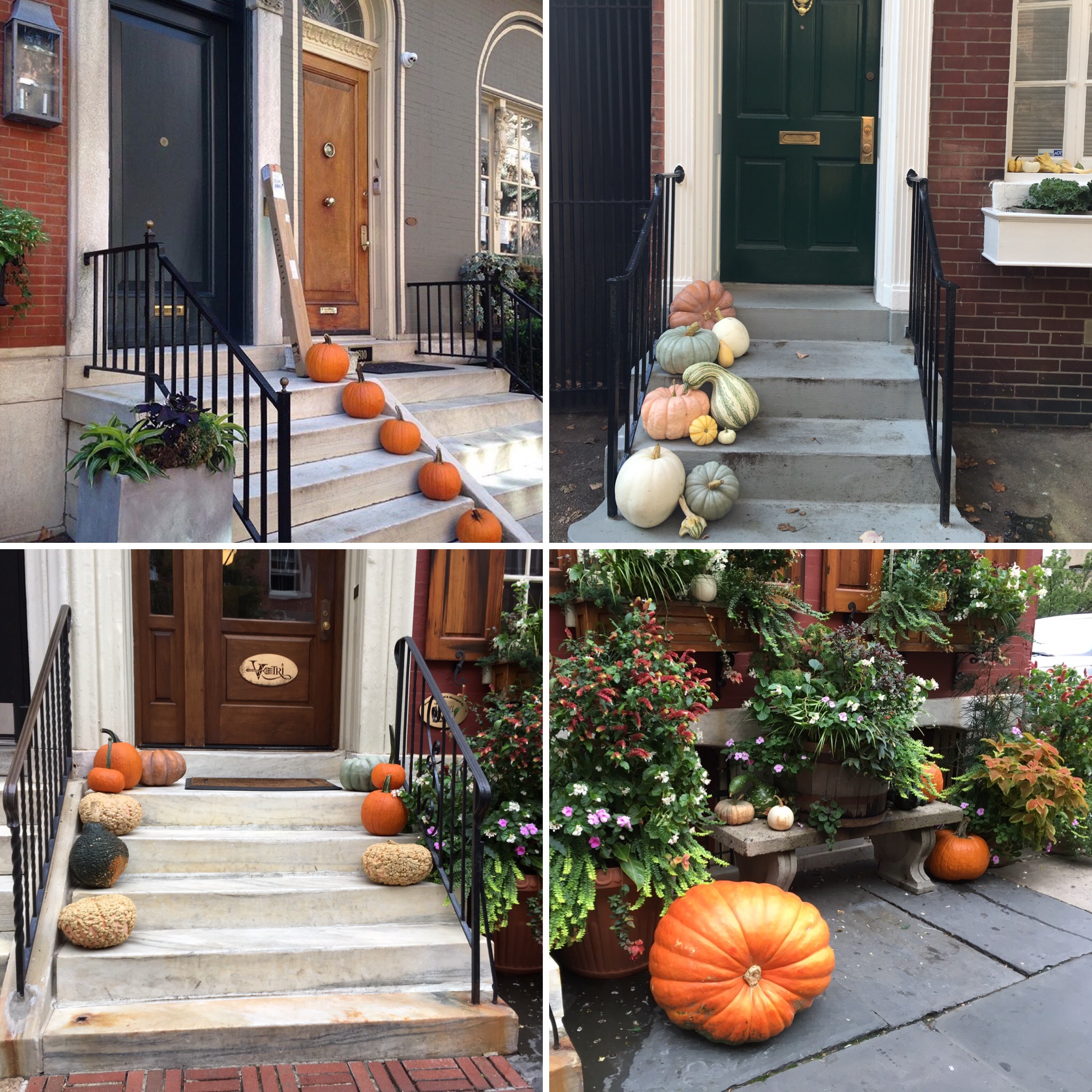 Pumpkins abound about town