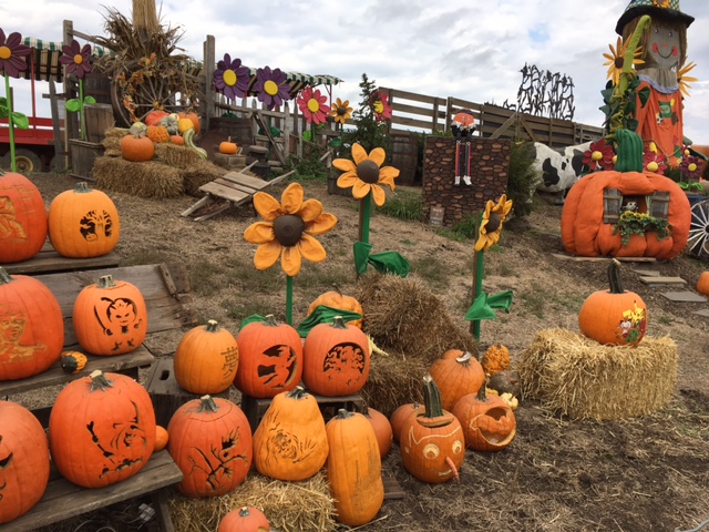 Impressive seasonal display