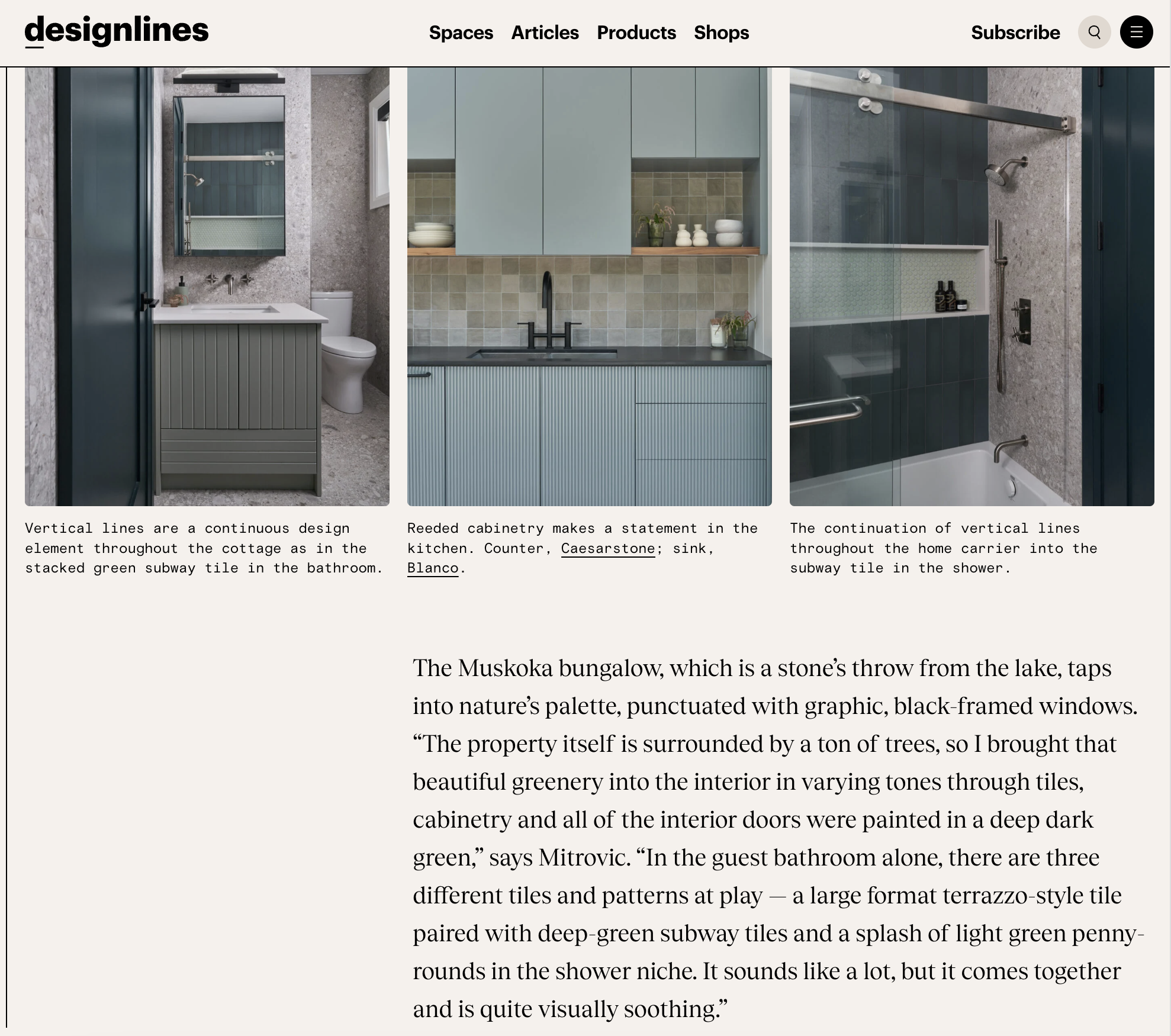 SP-DesignlinesFeature2024-3.png