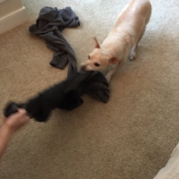 No, you cannot keep that shirt! It was already in the toss pile. No take backs.
