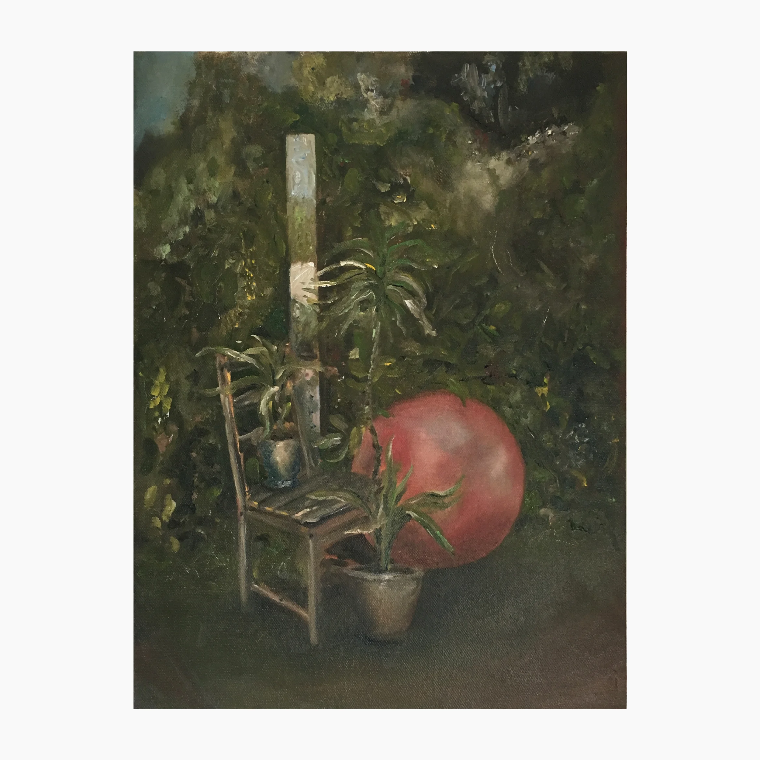 "backyard family"
