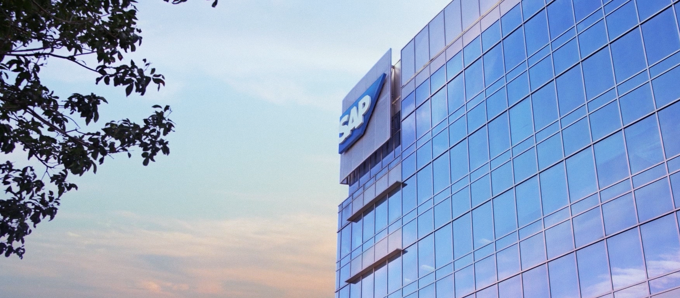 SAP3.png