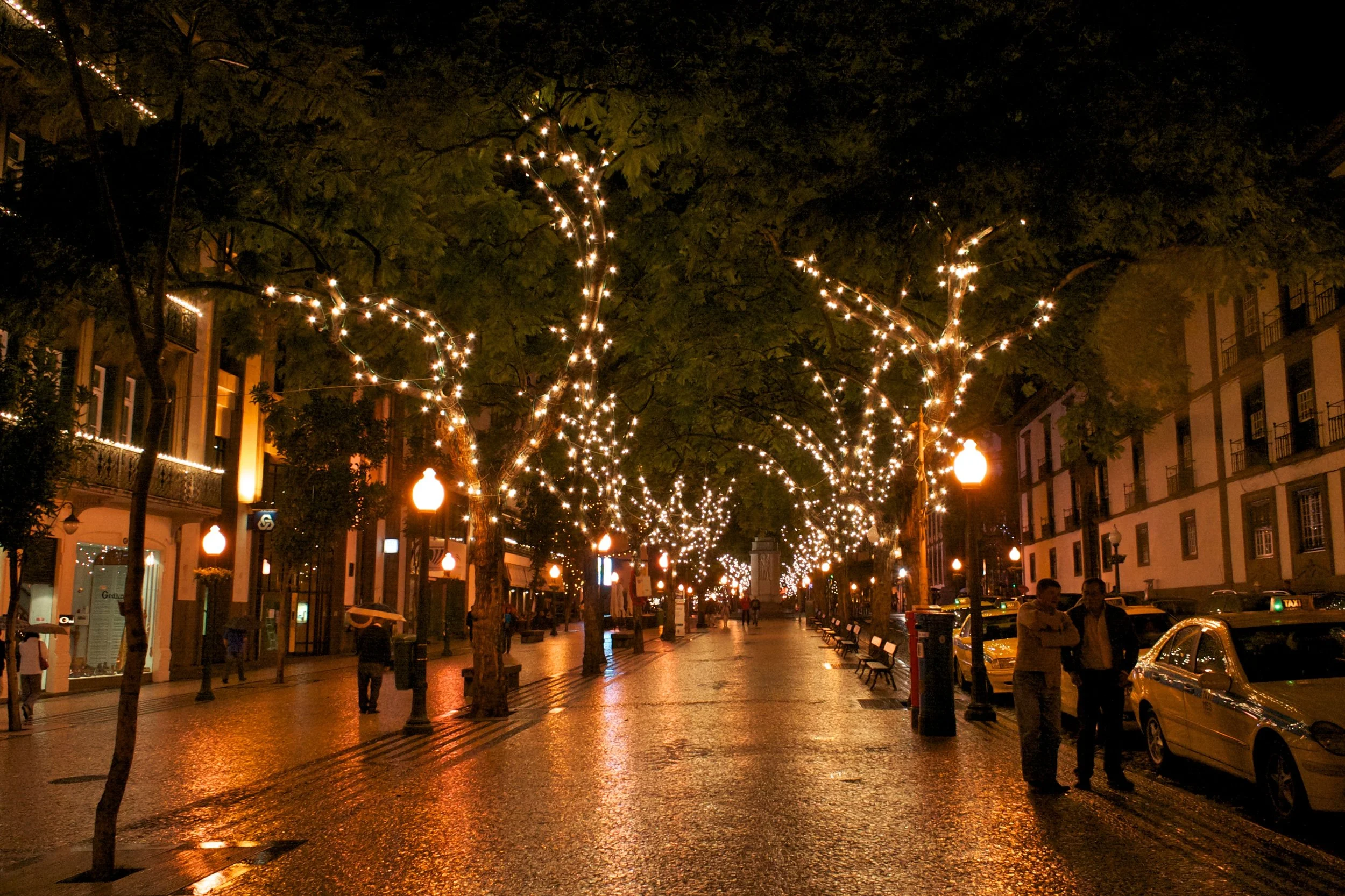 funchal-lights.jpg