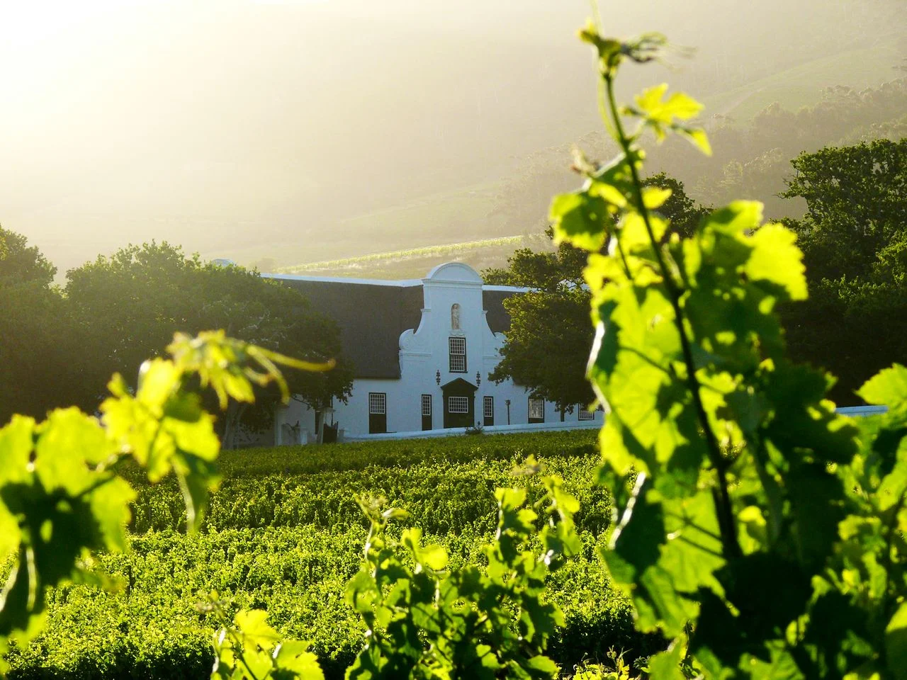 Groot Constantia Manor House at sunset.