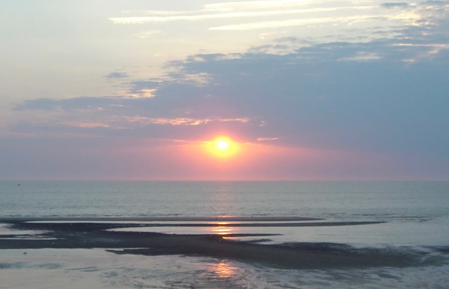 DSC00751.jpg