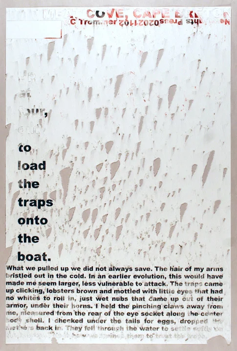 Trommer_full_web.jpg
