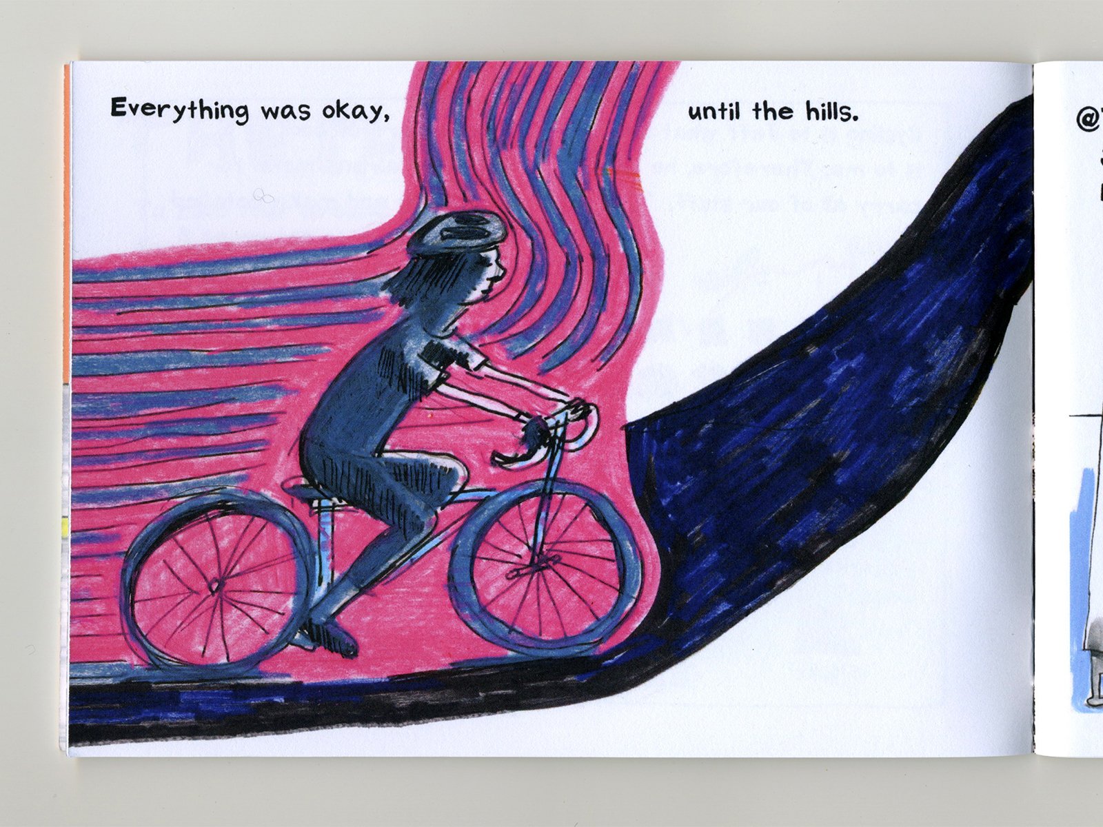 Curcio_Maine_ 2.jpeg