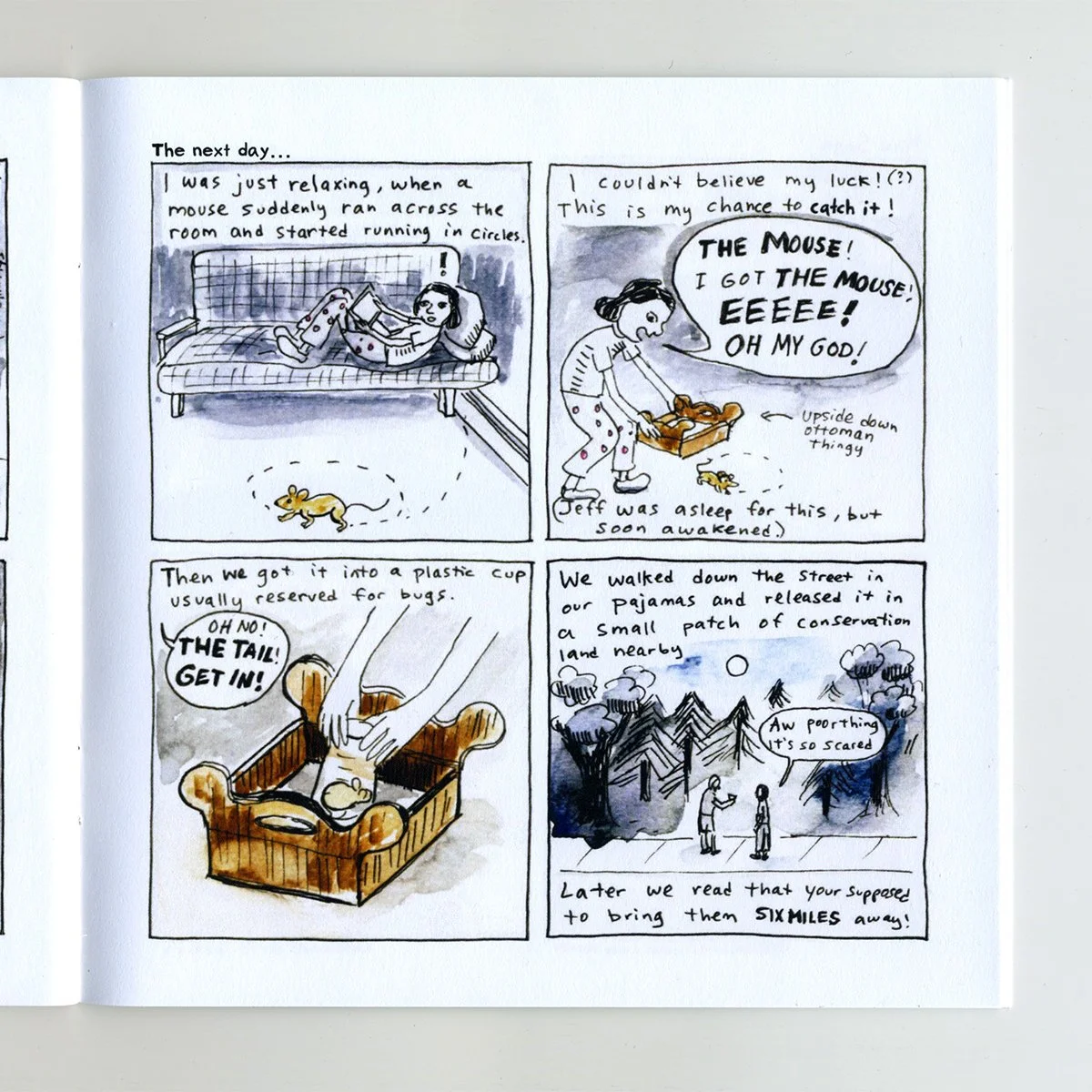 Curcio_24-Slices_ 4.jpeg