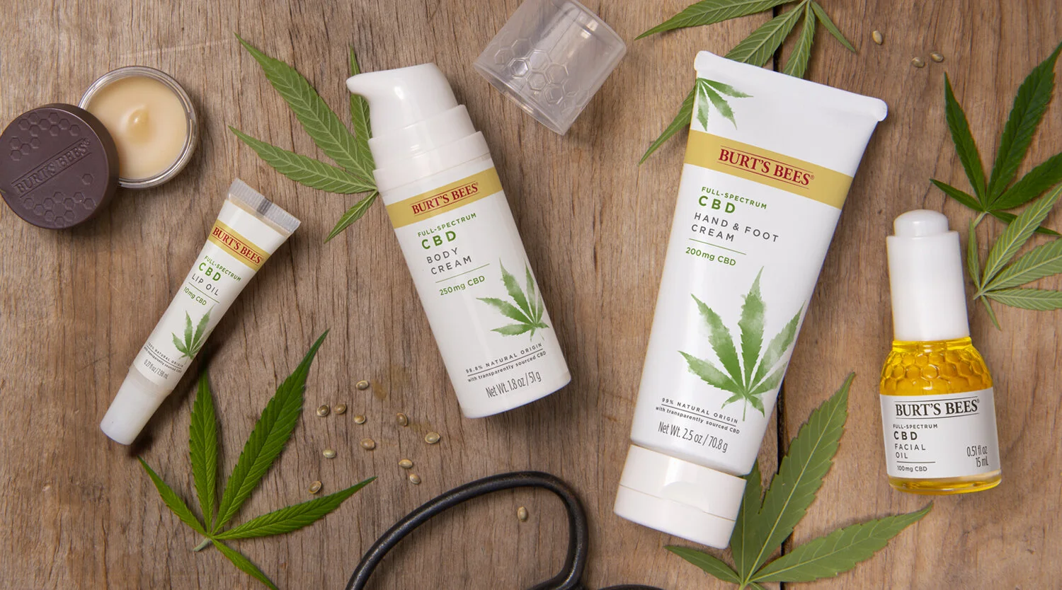 CBD_Header.jpg