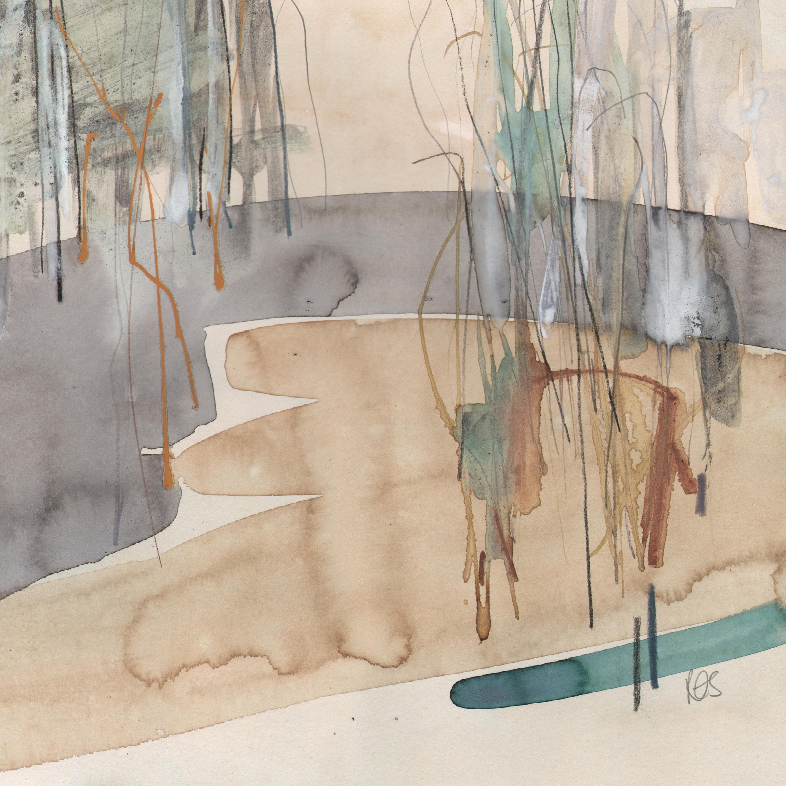 MORNING LIGHT THROUGH THE BRANCHES.JPEG