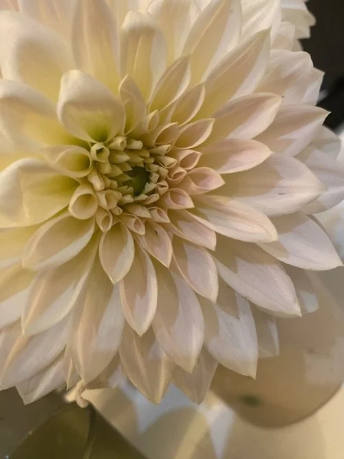 october in the garden