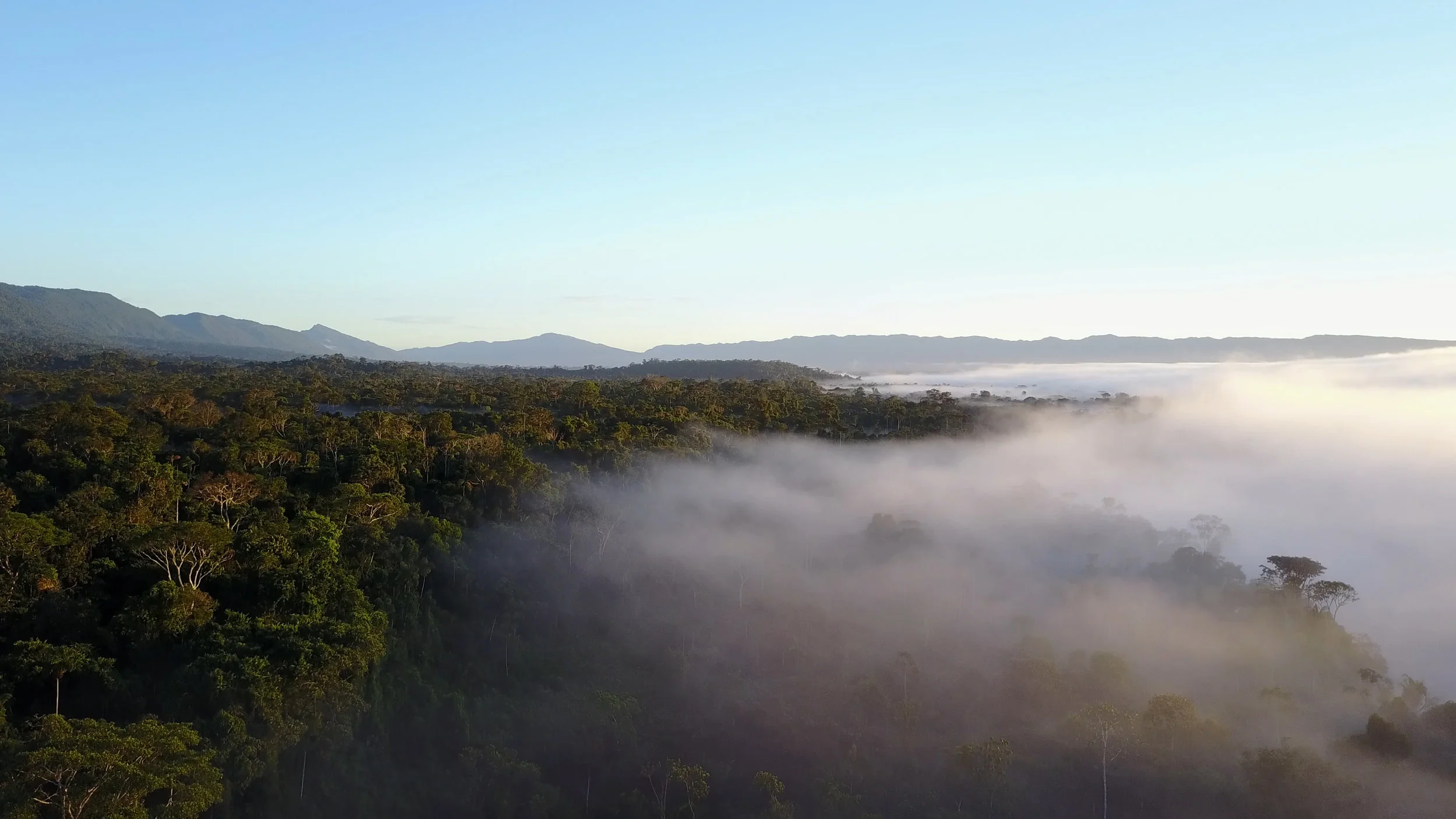 jpeg from drone 2.jpg