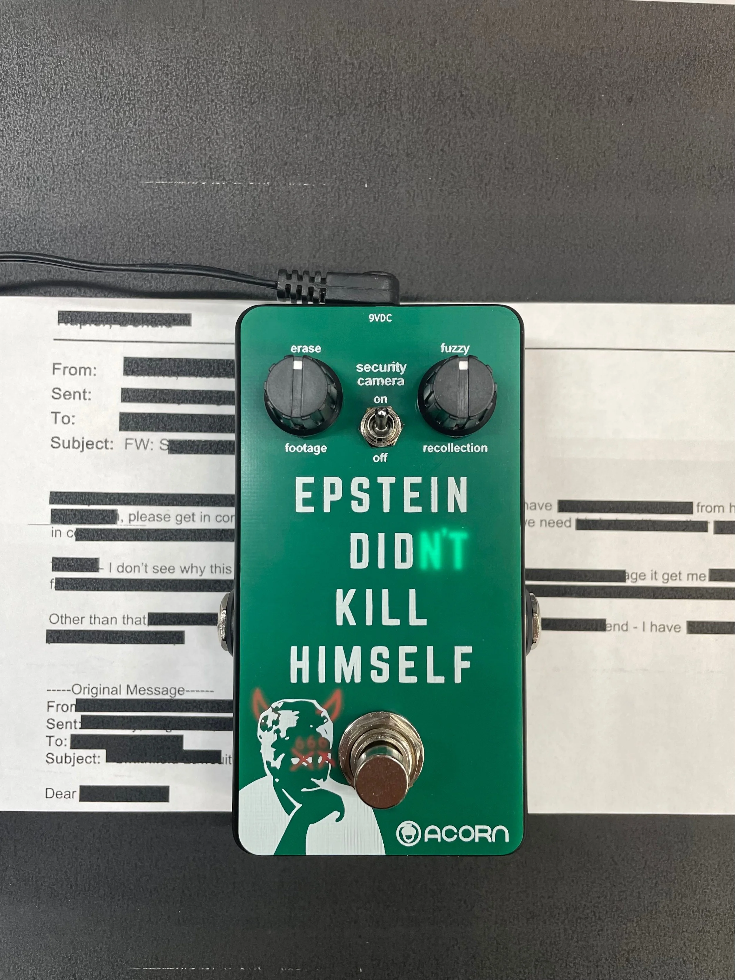 Epstein Didn't Kill Himself Fuzz