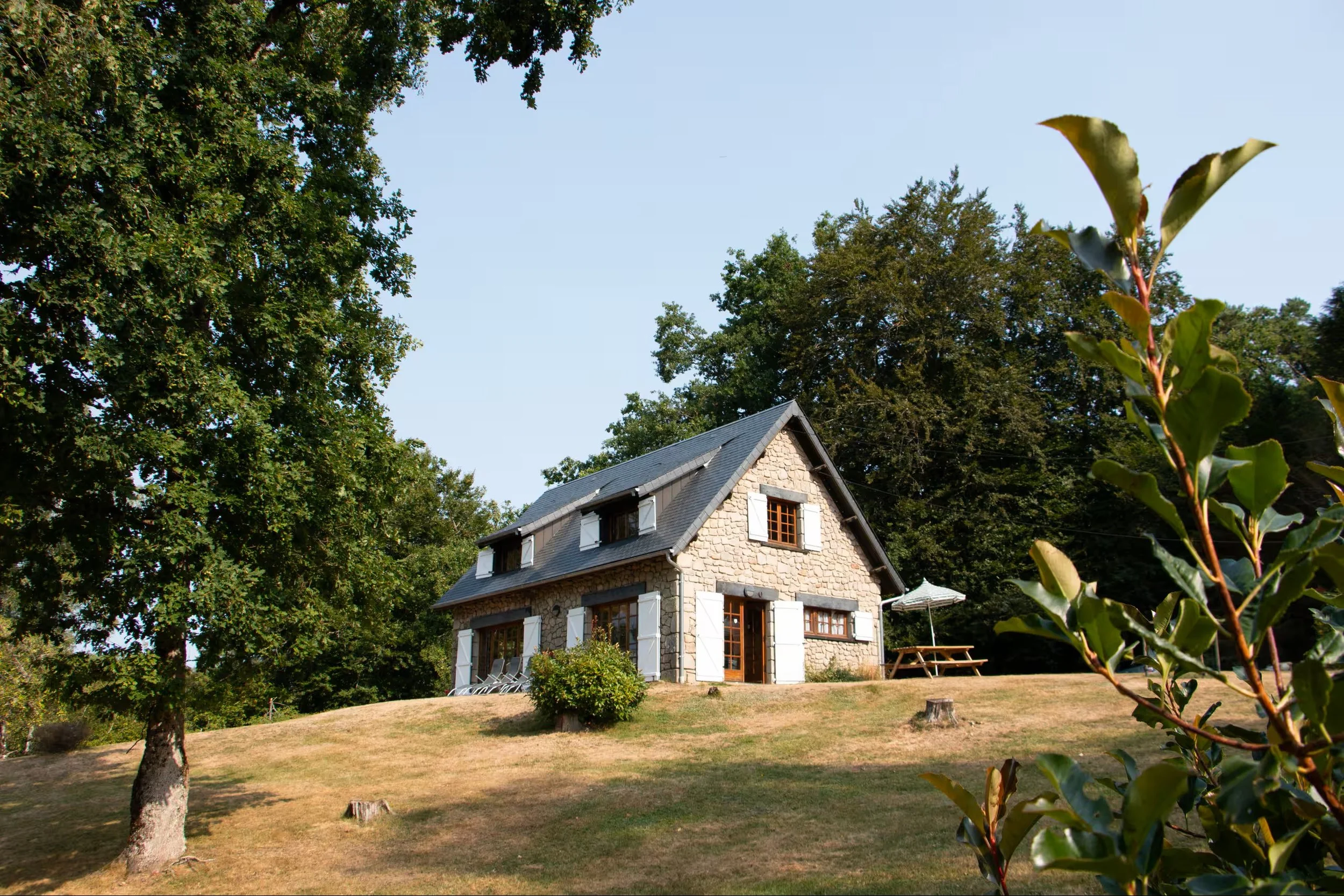 LeParadis1.jpg