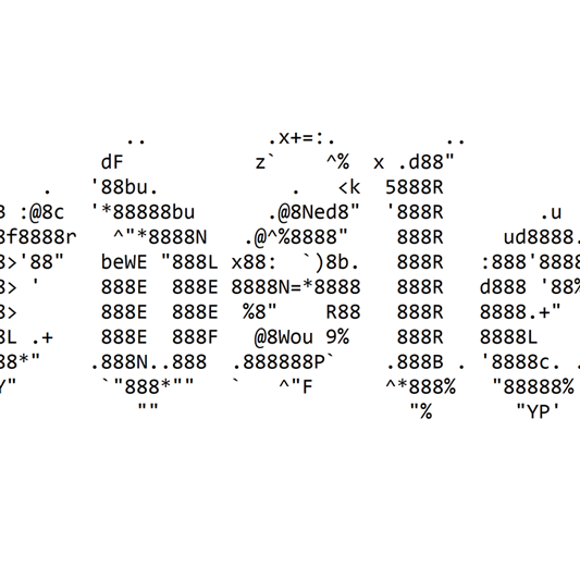 site-ascii-close-up.png