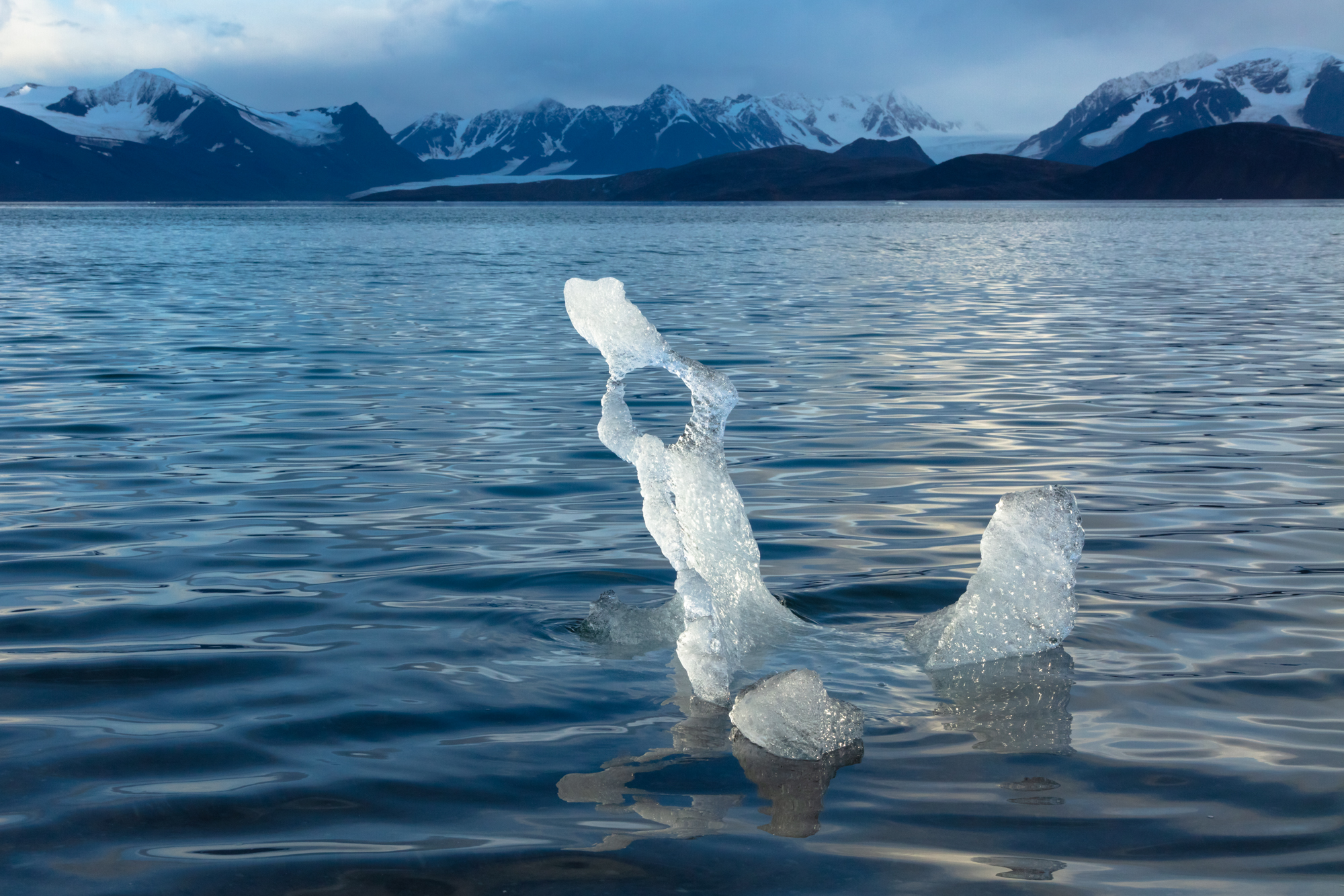 A piece of glacial ice slowly melts, carved into sculptural form by the shimmering arctic sun. When the sea ice retreats north in the summer, glacial ice is all that remains in the waters around the archipelago of Svalbard - but even this ice may soon disappear. Icebergs are formed when glaciers push down mountainsides and "calve" large chunks of ice into the sea, but this process only occurs when glaciers are large and healthy enough to reach sea-level. It is normal for glaciers to retreat through the summer, but the retreat would ordinarily be met with an advance during the long arctic winter. As climate change takes hold, however, the summer retreat out-scales the winter advance, resulting in glaciers that are rapidly melting and disappearing into the distant mountains.