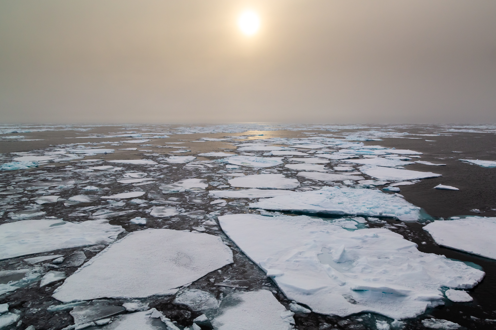 When many imagine sea ice, people think of a towering mass of ancient and thick ice - like a giant glacier floating on the ocean. In reality, however, much of the sea ice is a fragile mix of these thin “islands” that merge or break as they float on the surface of the Arctic Ocean. As the Arctic warms, an increasingly small portion of the ice lasts longer than a single year. The summer breakup and melt now clears most the ice formed the previous winter - and more. Sea ice is dynamic, making it especially fragile in the face of climate change. Like a dance, the ice is constantly in motion as the tides shift, winds blow and the hot sun shines 24 hours a day. The summer area of sea ice is 40% less than it was just 30 years ago and is heading towards a complete summer disappearance in as little as 20-30 years - but it is not yet too late to save the sea ice. I make pictures and share stories not to serve as a memory of what we could soon lose, but rather to give you all a reason to care about fragile natural worlds that could disappear if too many of us fall into the trap of complacency. If enough people care, I believe anything is possible.