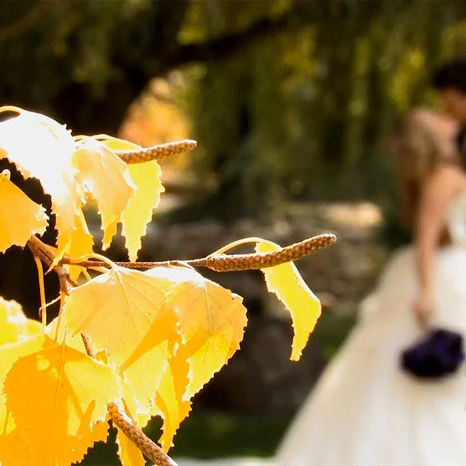 Boise Wedding Productions Year in Review (2013)