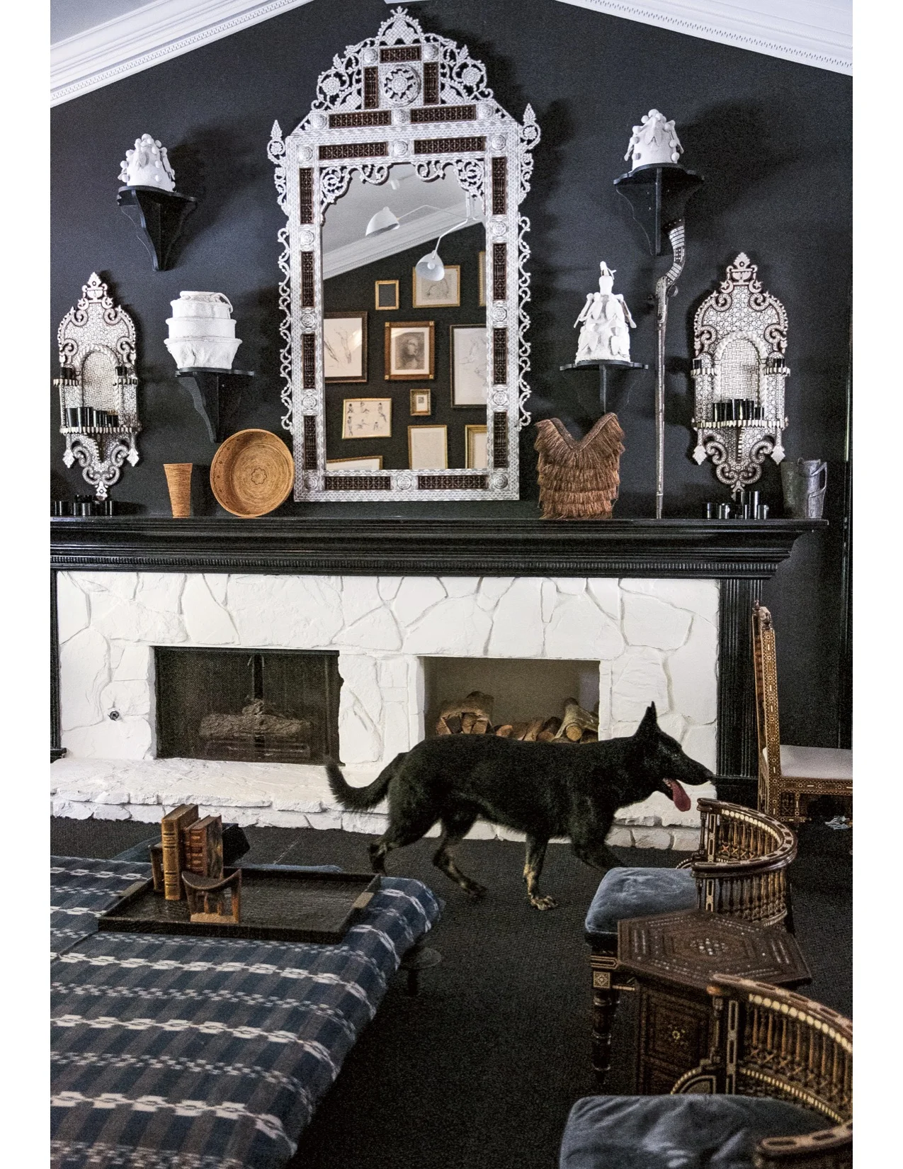 WINDSOR SMITH'S DOG, SUR, IS A PERFECT MATCH FOR THIS HOME! NAMED FOR THE BEAUTIFUL BIG SUR ON THE CALIFORNIA COAST.