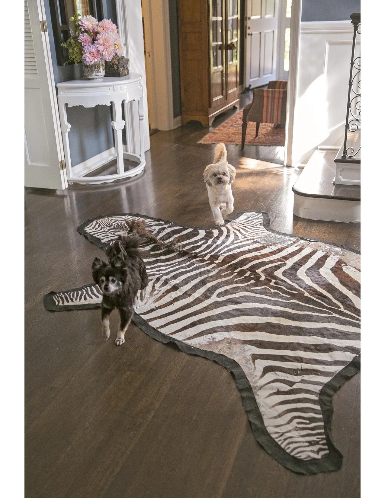 BETSY BURNAM'S HOUSE AND HER DOGS NINA GARCIA AND FELIX