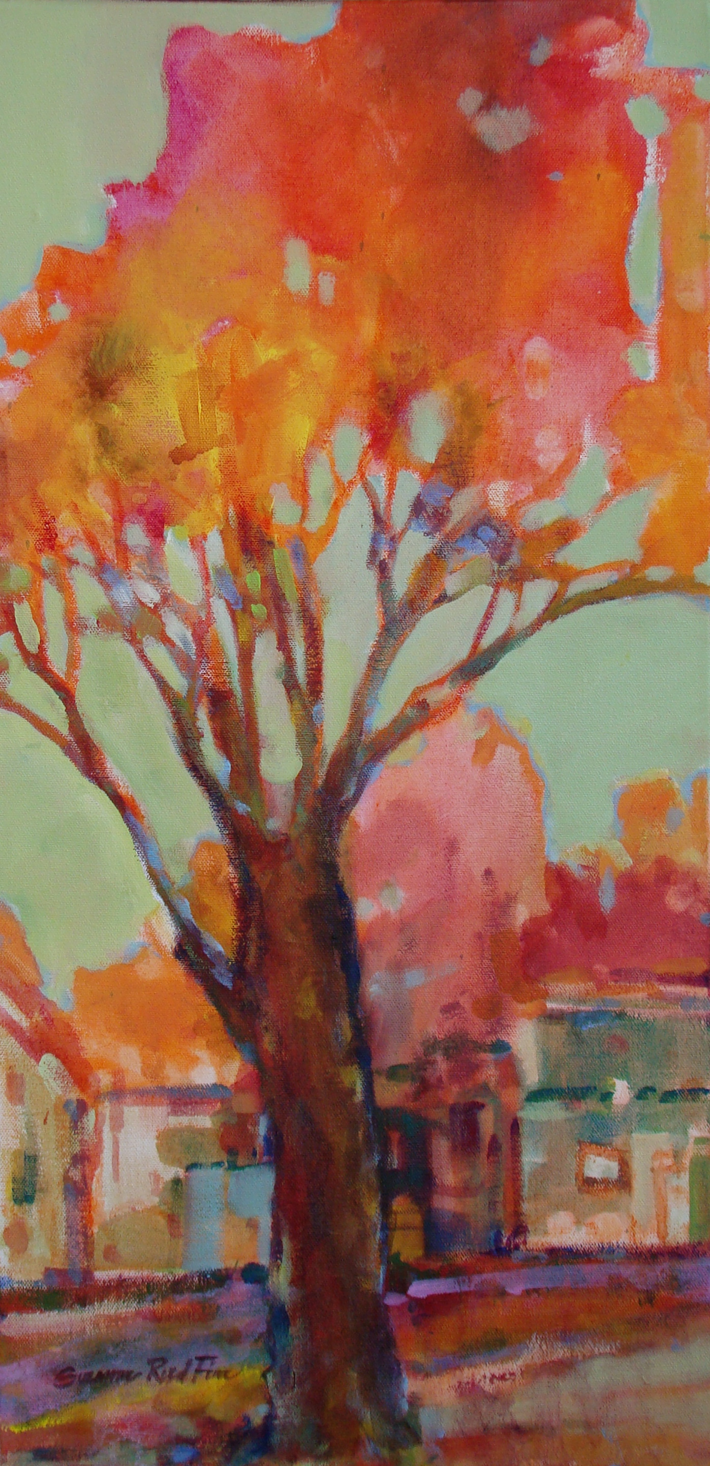 Trees at Lakebottom Park