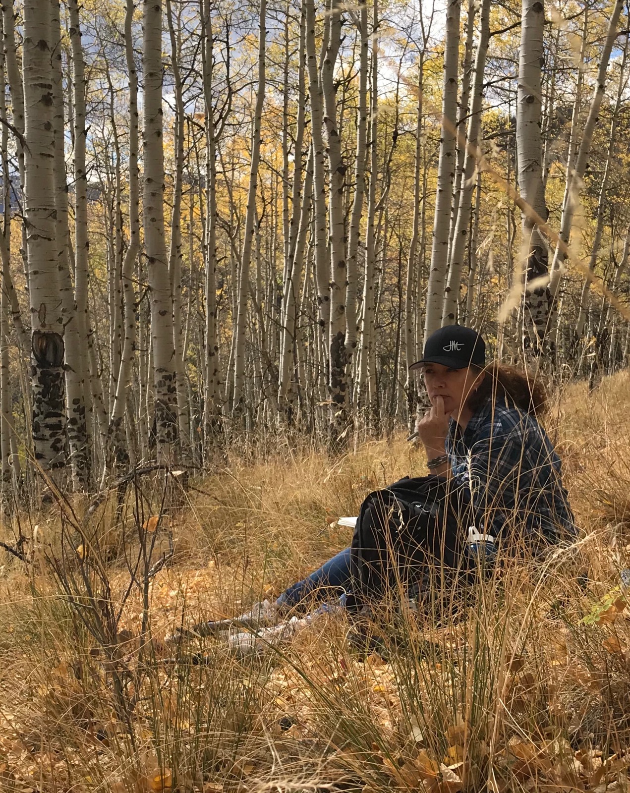 An amazing grove of aspen.