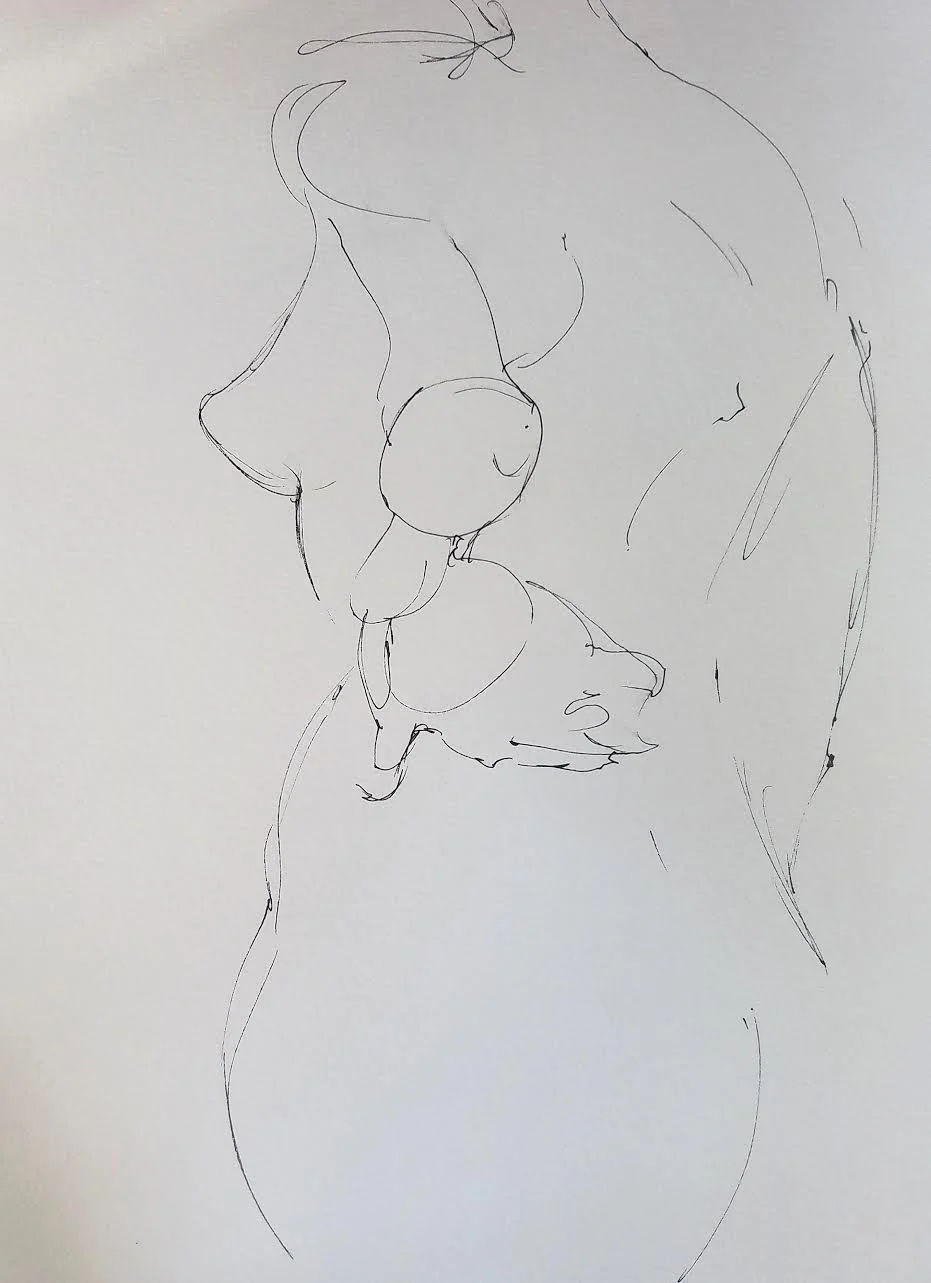 FIGURE D11 2019