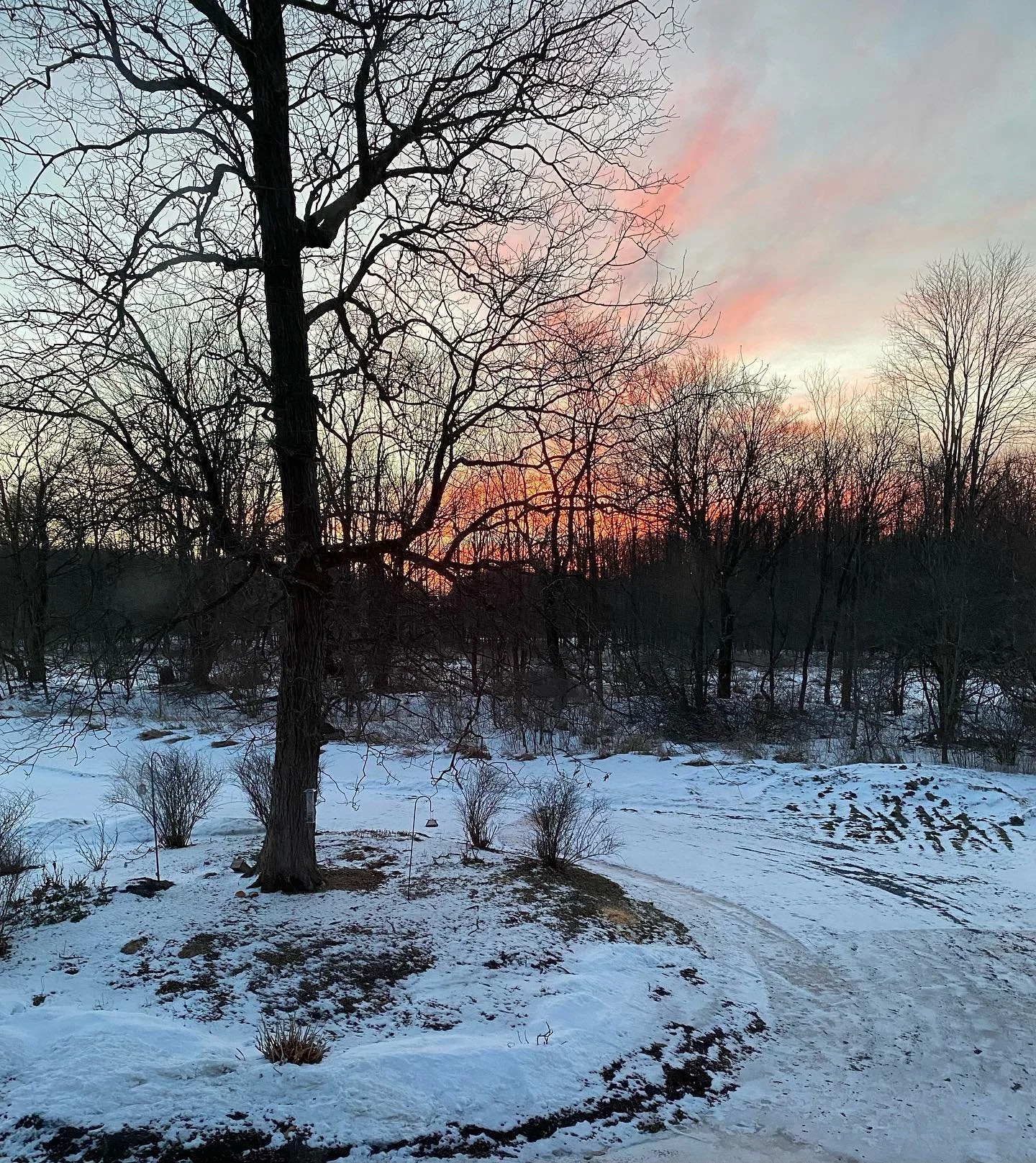 Morning Routine &amp; Self-Care