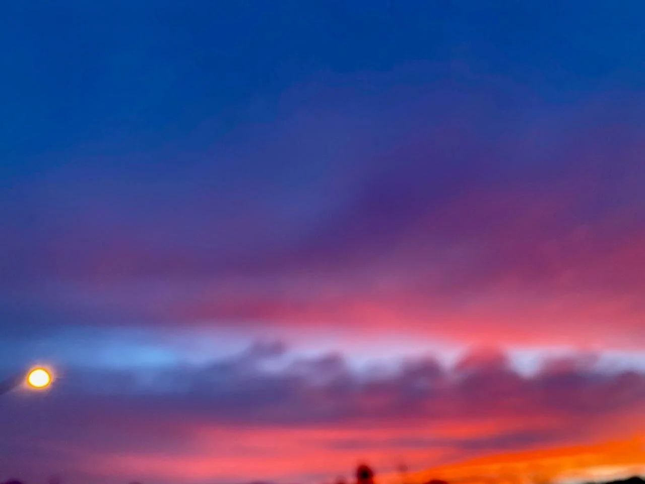 Resilience &amp; Skills