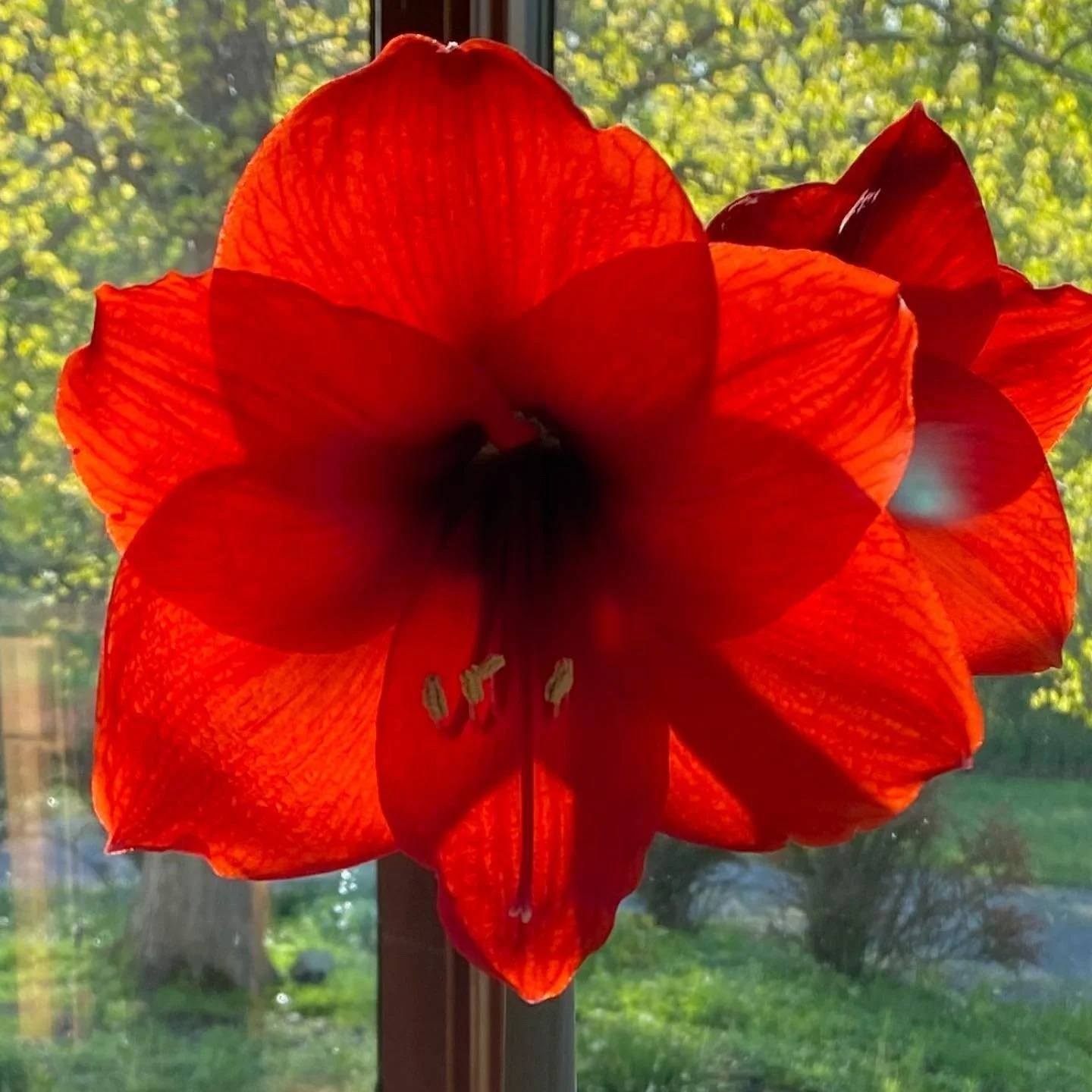 Guided Evening Stretch Routine for Self-Care