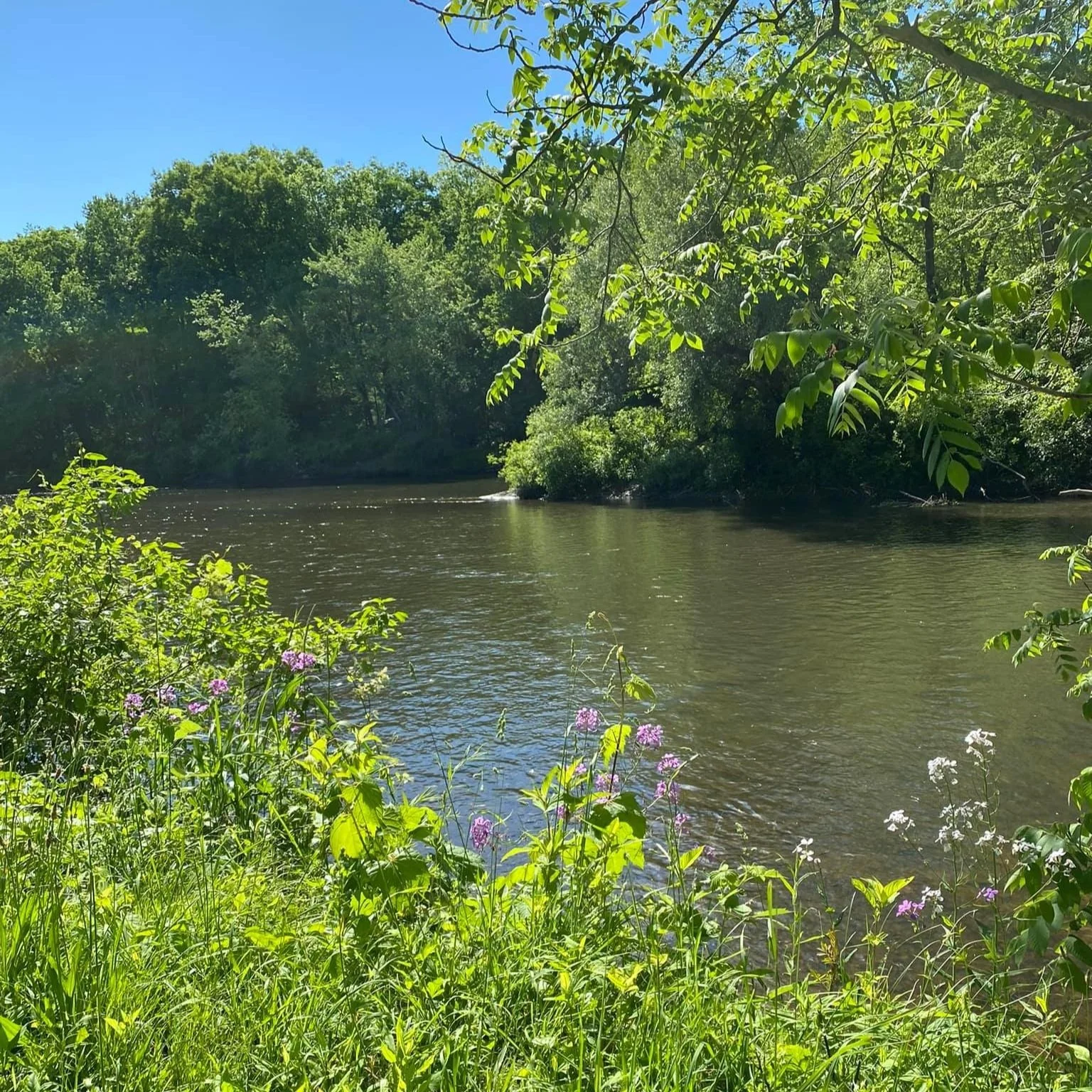 Cardio in 25 Minutes! COMPLIMENTARY WORKOUT!