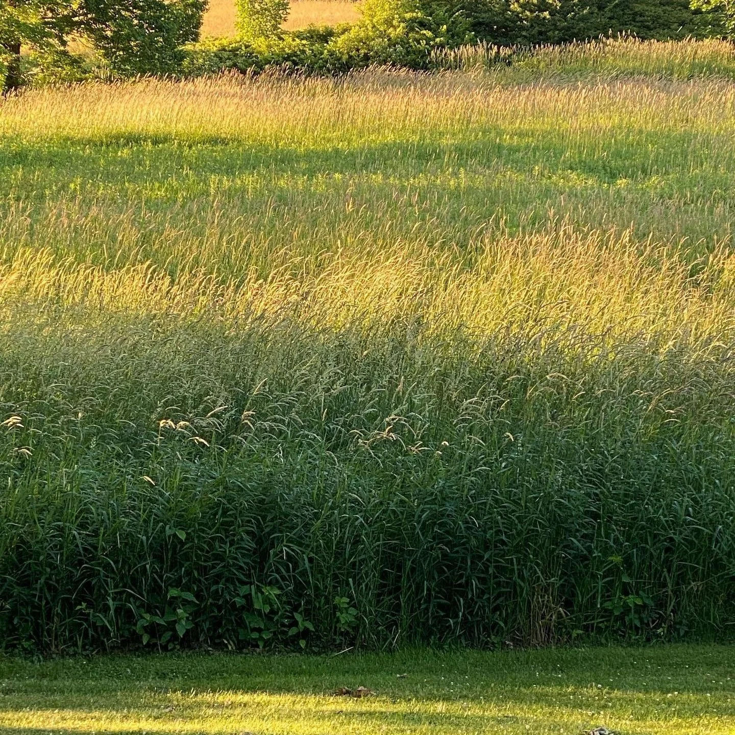 The Sleeper Transition