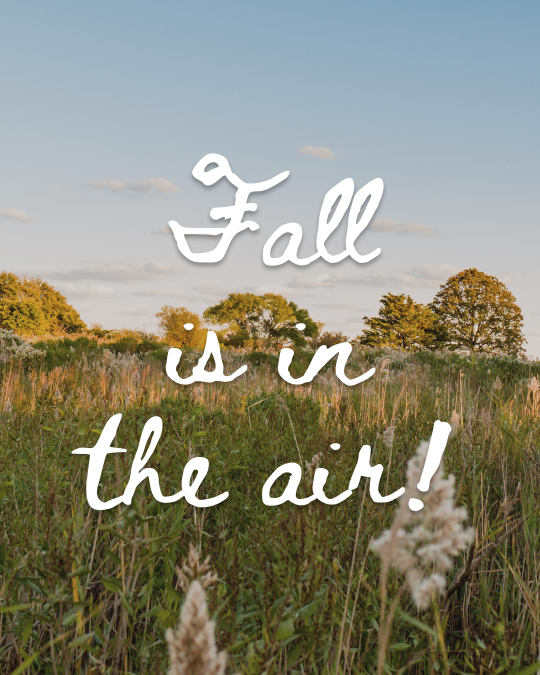 An exercise to welcome fall + Relaxation 🧘