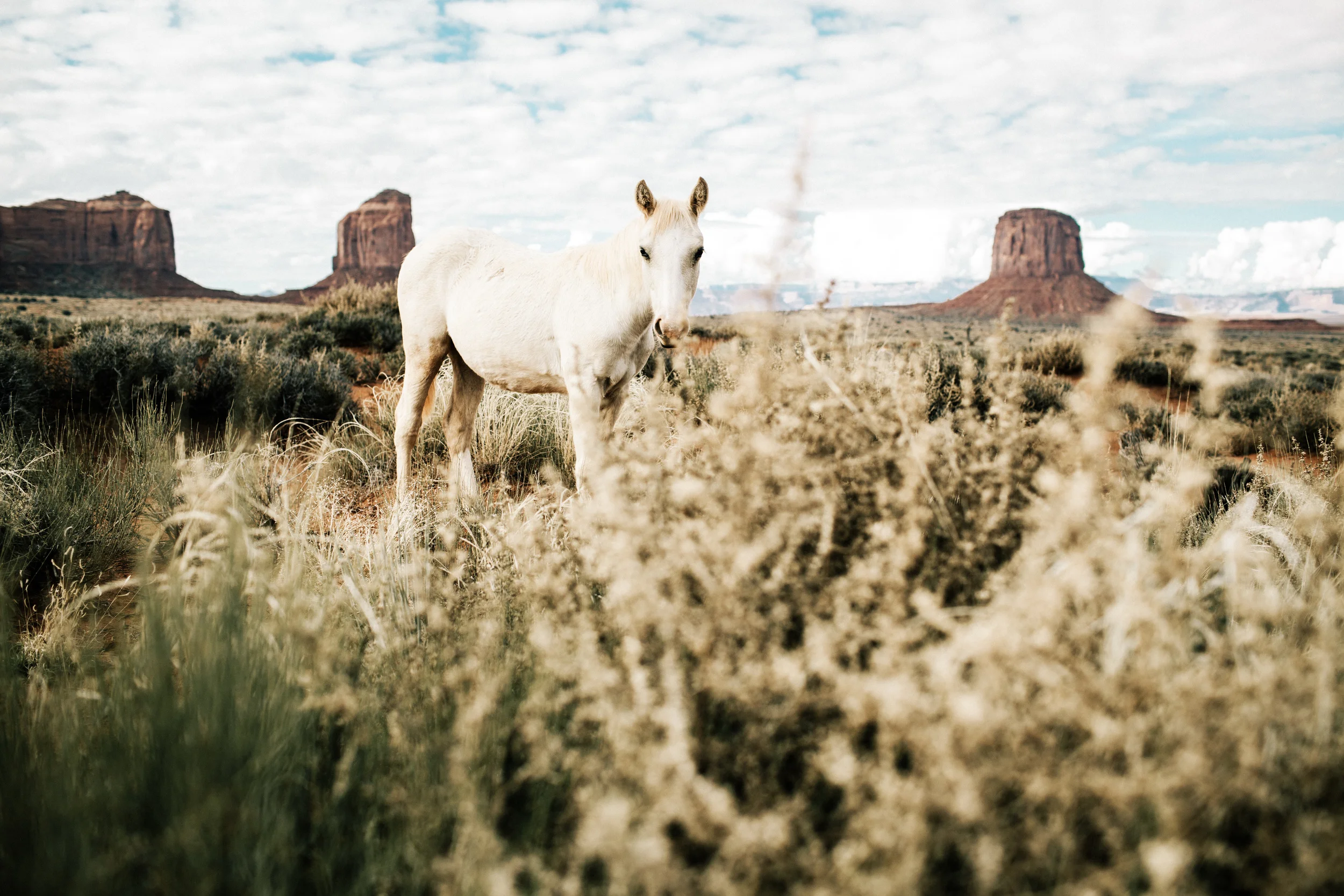 JJOHNSON-AMERICAN-SOUTHWEST-17.jpg
